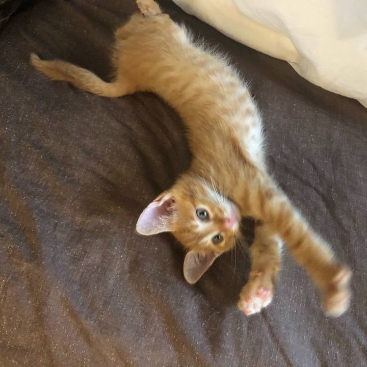 4ff0b32f d8c1 4d80 b2b9 ca291eefb4d3 1630298280020