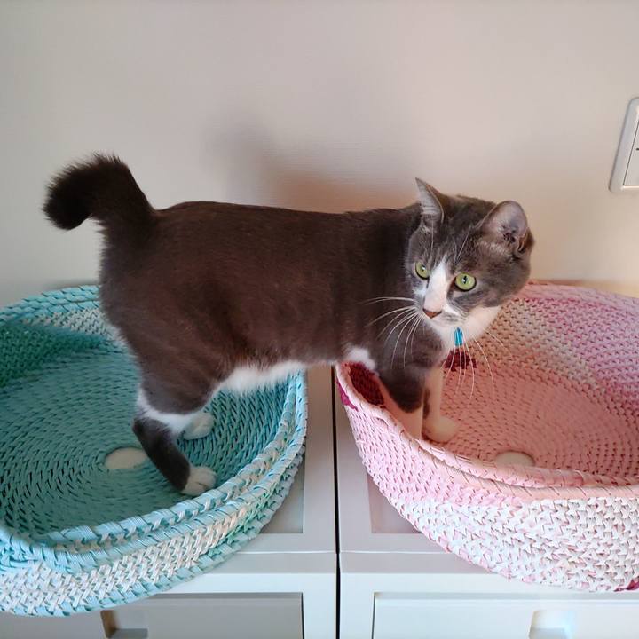 4ff0c4a3 7750 4eea b27c 8a4c463e478d 1664491510379