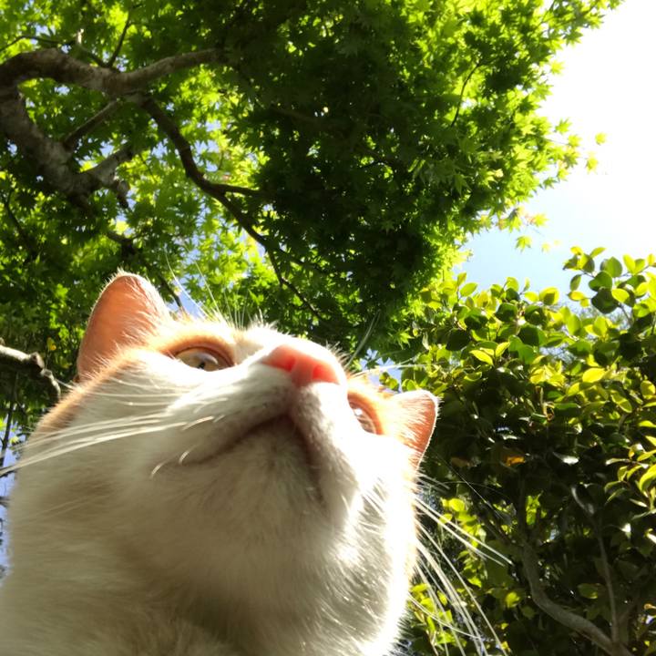 4ff0e2b5 2637 46e5 a666 9f6bd17e6f7e 1527206249473