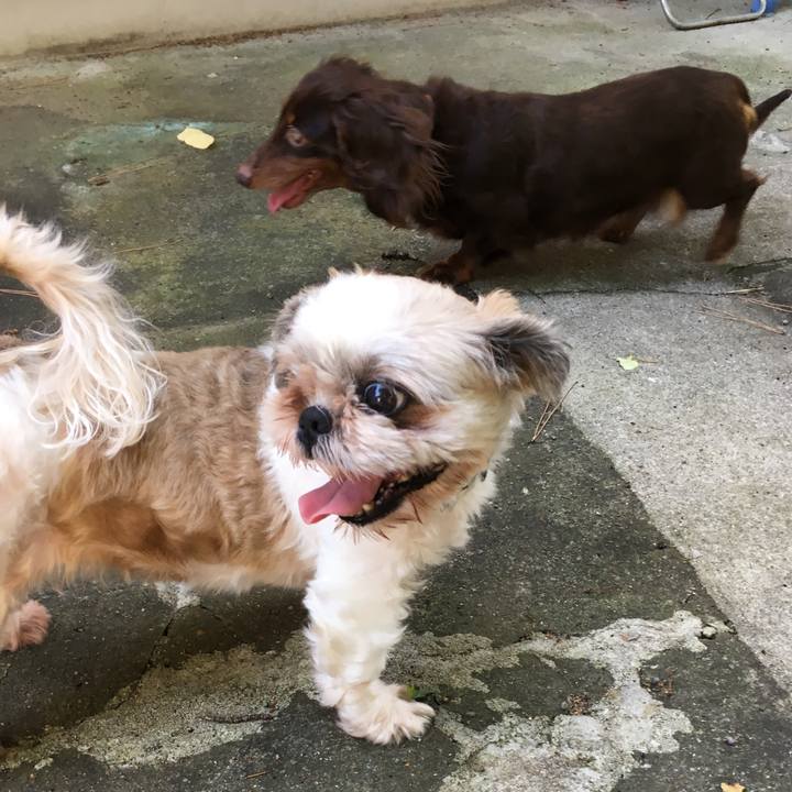 4ff0fdf8 6bcc 4ce4 b2d7 3f9f7152717a 1565952535283