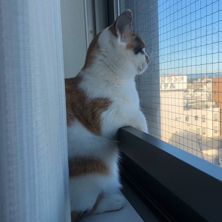 4ff1139f d4ae 47a5 80ee 6bfeb1800fd2 1605051146487