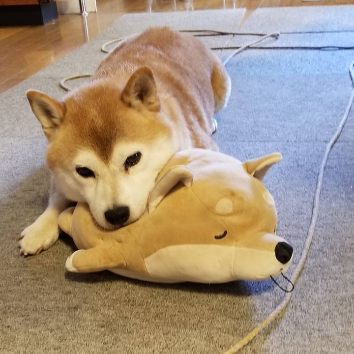 4ff12229 85f7 44a9 8797 07efac391475 1630202850980