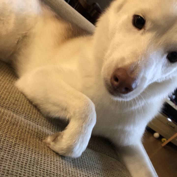 4ff1346b 6cd5 4a79 a3e1 67d3378253fe 1536485350769