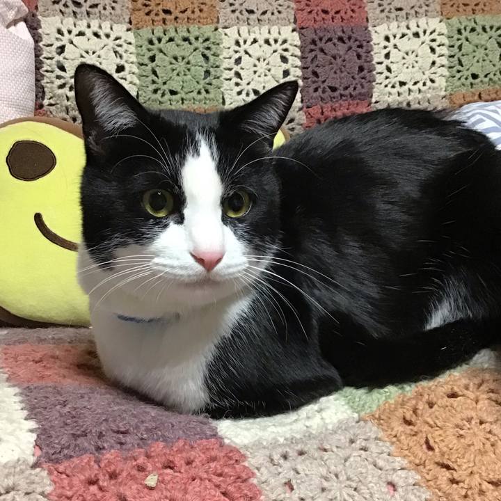 4ff160ed c284 4d2d 9a56 a4c61bb4c699 1674568250981