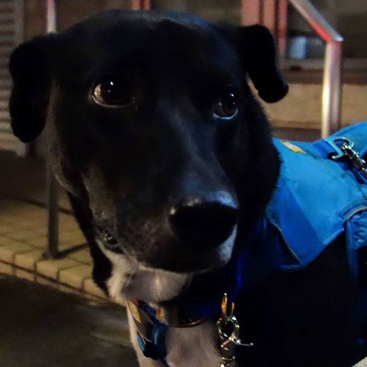 4ff188ec c4df 45cd a460 ce939b9389a5 1635937426736