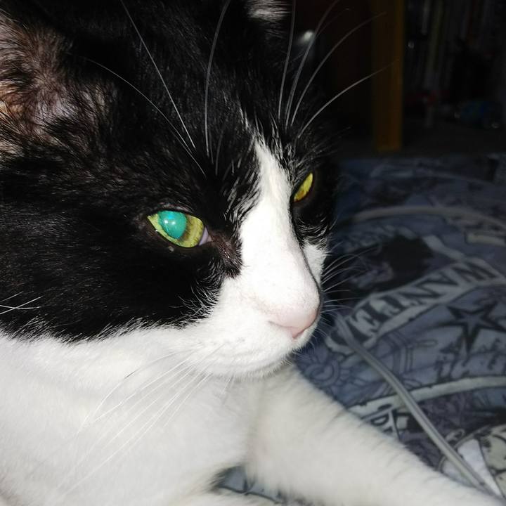 4ff18ccb 9cac 4712 823a c8ae15dc7b5c 1534083037008