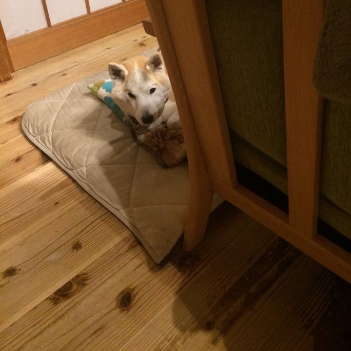 4ff18dab bf95 4ef0 8a70 e9f272904050 1579693913278