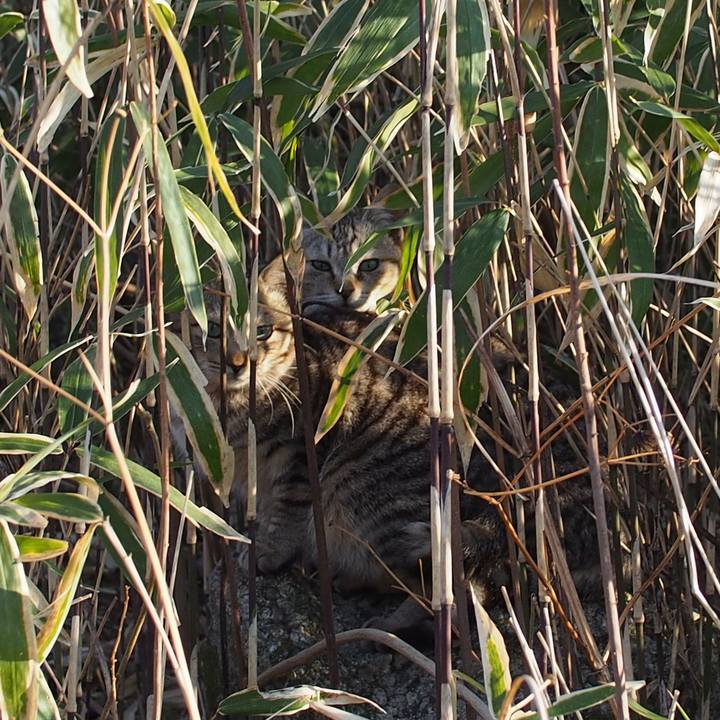 4ff1a16c edb8 4a8c 8f5b 6f786d98f84b 1554130342594