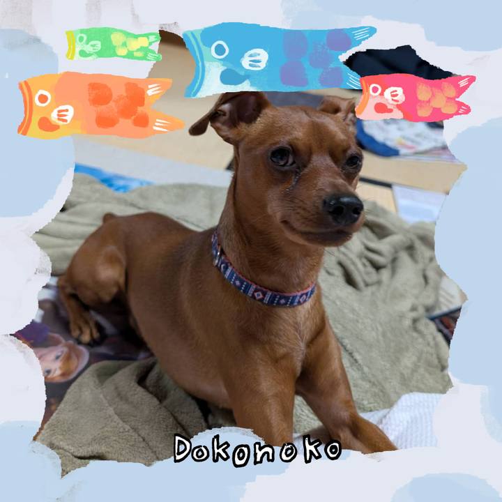 4ff1a245 ce9f 4129 9923 bcfec97b1e75 1749309259227