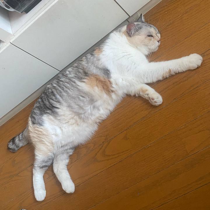 4ff1afaa cc8b 4f6c 837a 0328c9132563 1750147166718