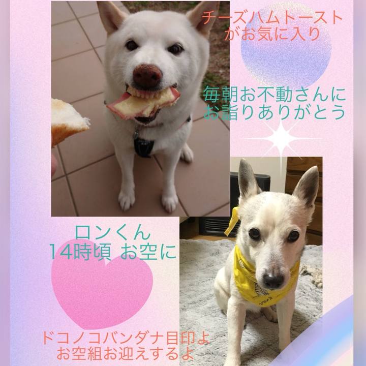 4ff1d64d cdca 4890 a843 86e446b3ba43 1719012025438
