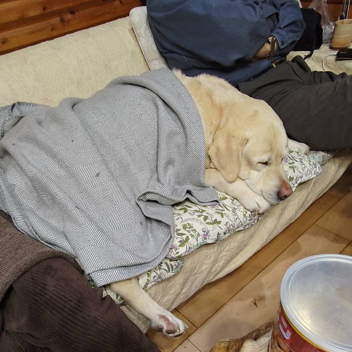 4ff1e1f5 1abd 4c7a b56a 2f530c28a6ab 1738666685015