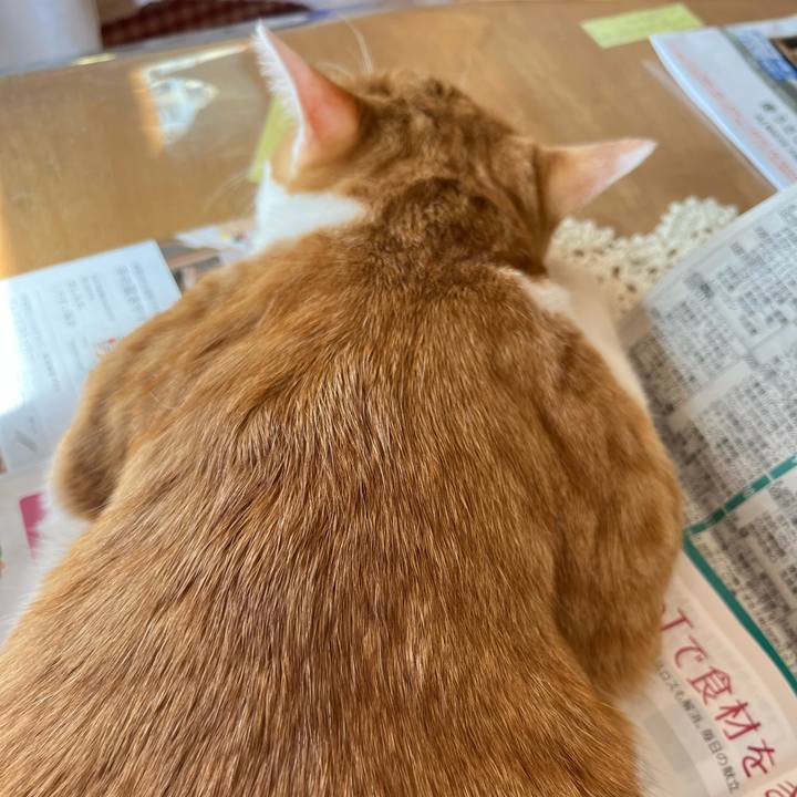 4ff1e319 f026 45ca 9add b5749cdcdd18 1683413049760