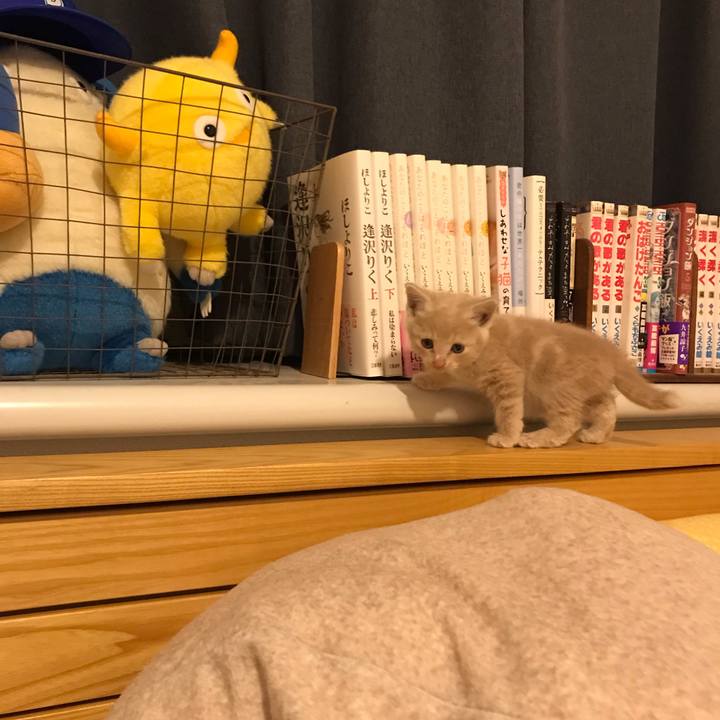 4ff2040a 025f 49c3 aef5 5feb4e6f0b15 1571664333806