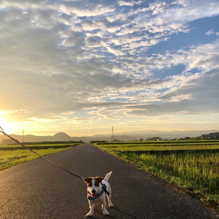 4ff22da2 5277 4e8a baf4 69ddc1e5783a 1658617617646