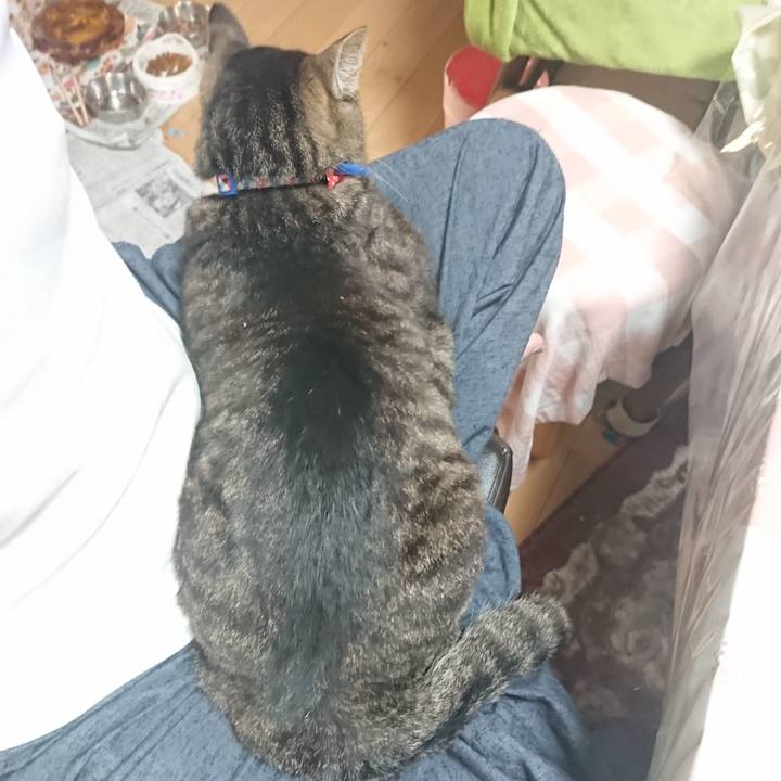 4ff23104 585c 4420 8514 0ebea625aa87 1655851106004