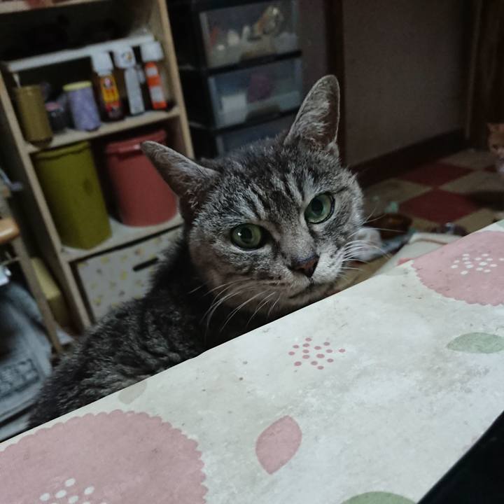 4ff26b76 283b 4964 9734 2a6a506fa8f6 1577770591843