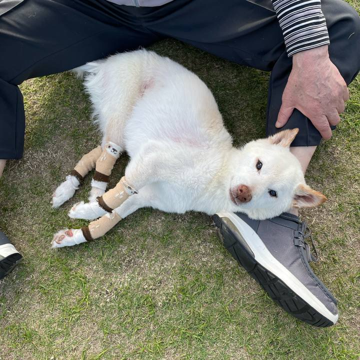 4ff28754 f310 41a8 9b1f e0a4d4974e77 1683125353324