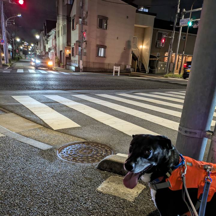 4ff2ab37 e947 4c17 9d26 26d39863c677 1724583790563