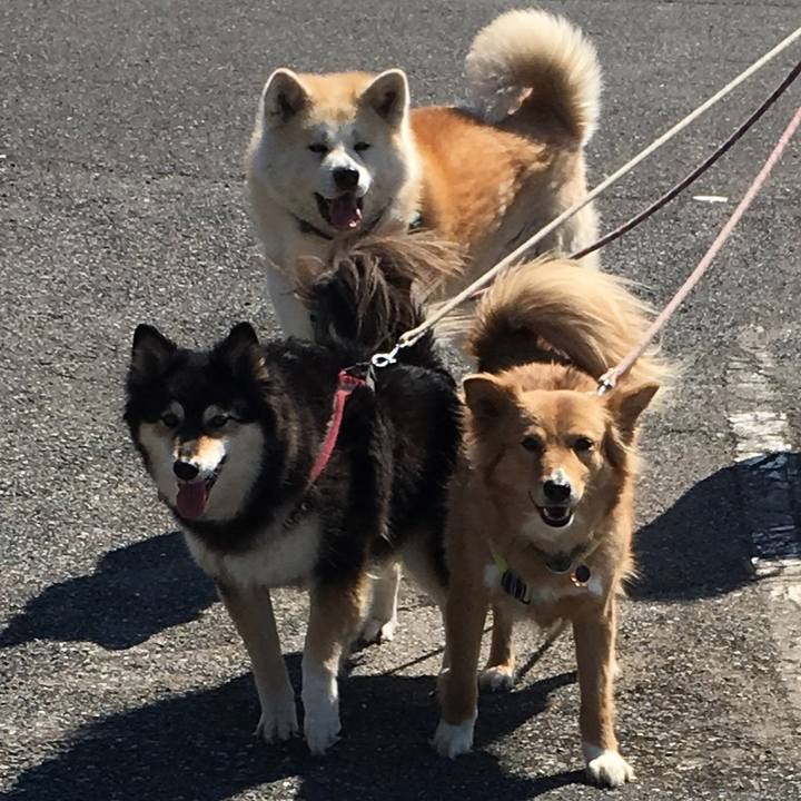 4ff2c2a1 2d6a 4aeb 8d1a 880b25228461 1552607904184