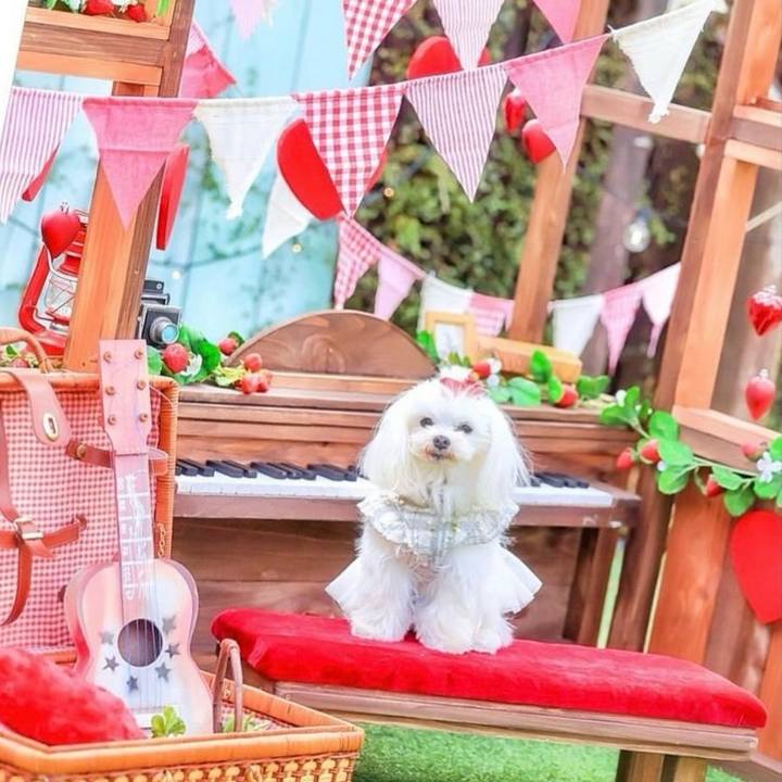 4ff2f3e0 99df 4ee7 a819 364a56c75be8 1707900055613