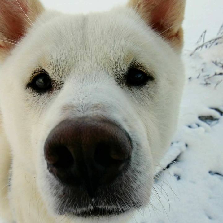 4ff2fb5c 5eba 48e4 b2fd 3940e4ae154e 1614419414747