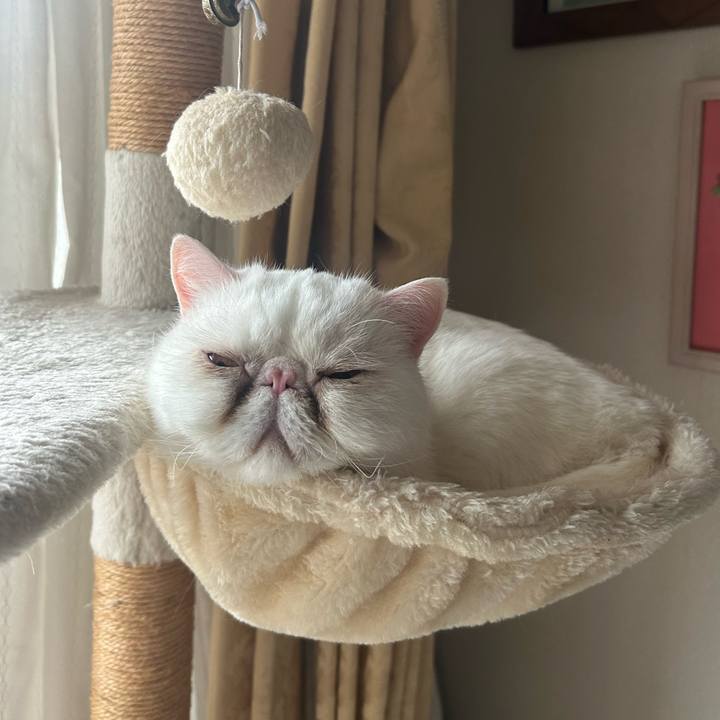 4ff2ff1d 0bdf 44d7 8f8a 9ef383d29ea9 1746969224091