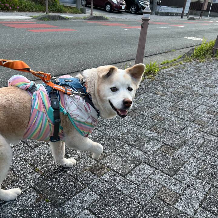 4ff34077 6a94 4459 ab59 a86e1a053a87 1713225435800