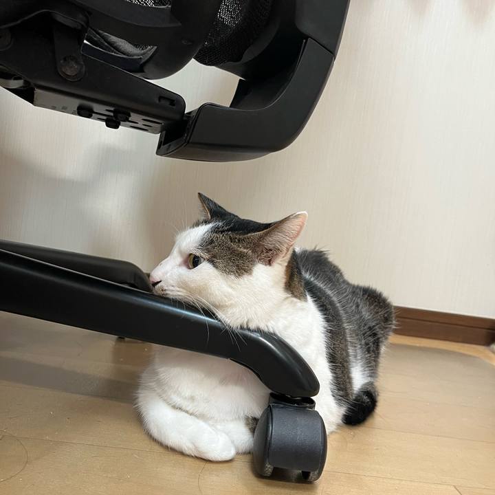 4ff38889 36f3 47f9 a87a 7a190f9ed9ce 1696375037308