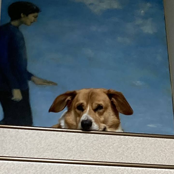 4ff38bd8 2ea0 410a bd15 20a1bd18c127 1722296546453