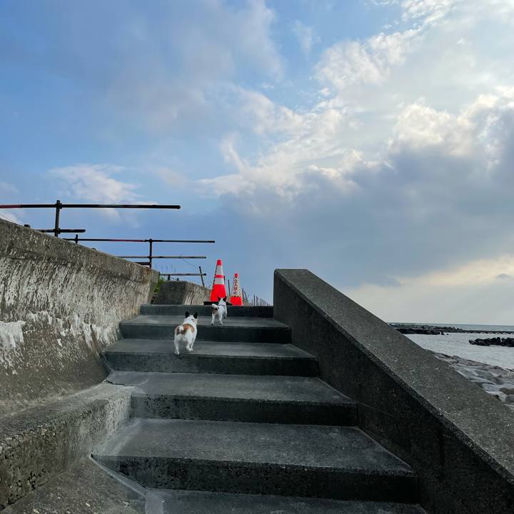 4ff3c7ce 982a 425f b74a 1c126a4e1b57 1622277855608