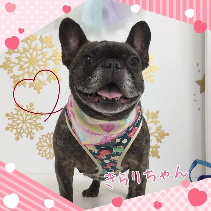 4ff3c87c eebe 494a 8665 4d8ca80d1748 1676644211456