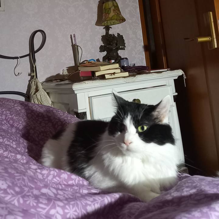 4ff45054 0e60 4fb7 abbf 75e45d2b5d9e 1610747393068