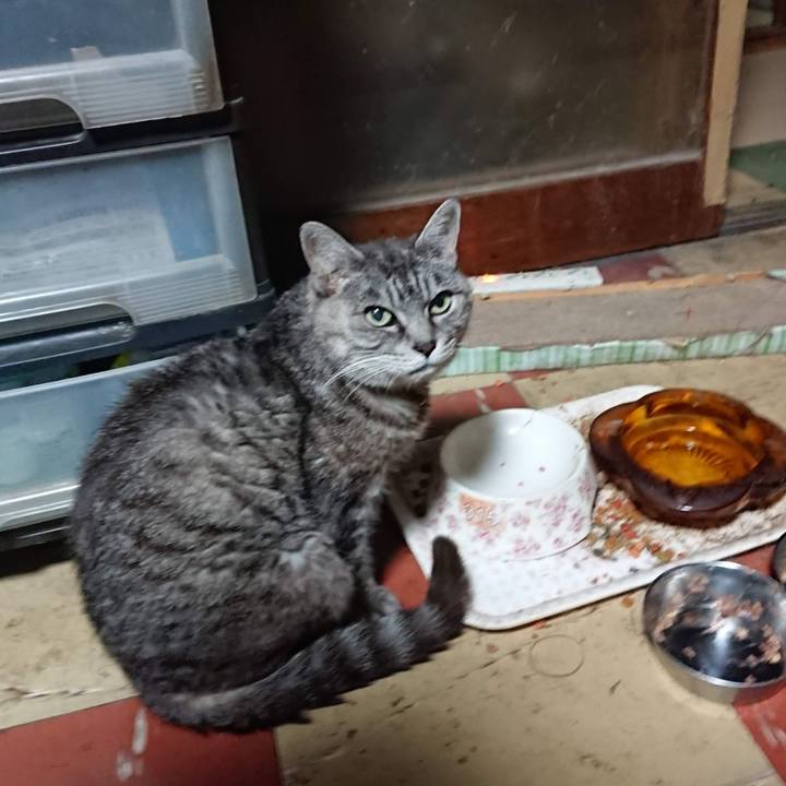 4ff469a3 3abe 4705 87d0 7d387259de68 1602361193861