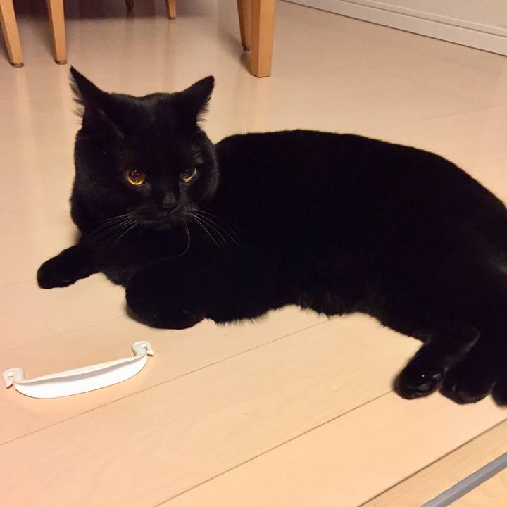 4ff48630 2068 4796 8a36 a61af58f2384 1520511055773