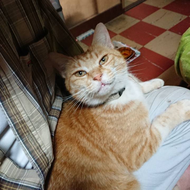 4ff4922a 45cb 47ef 8d49 86a57d0298ce 1590957925272