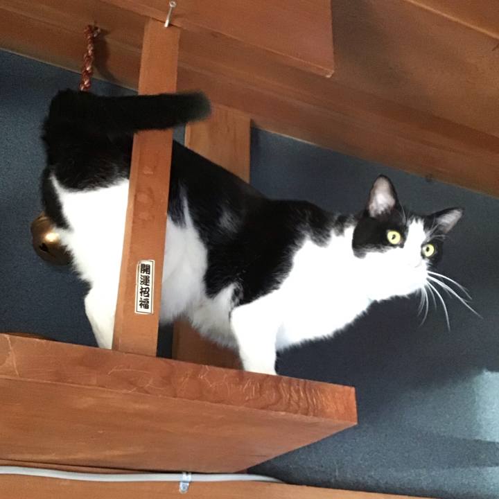 4ff4a56c f799 490a bd42 c4bd086fa521 1735200725852