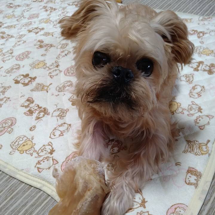 4ff4e442 59fd 4ff0 978e 20e161dff23d 1604276512724