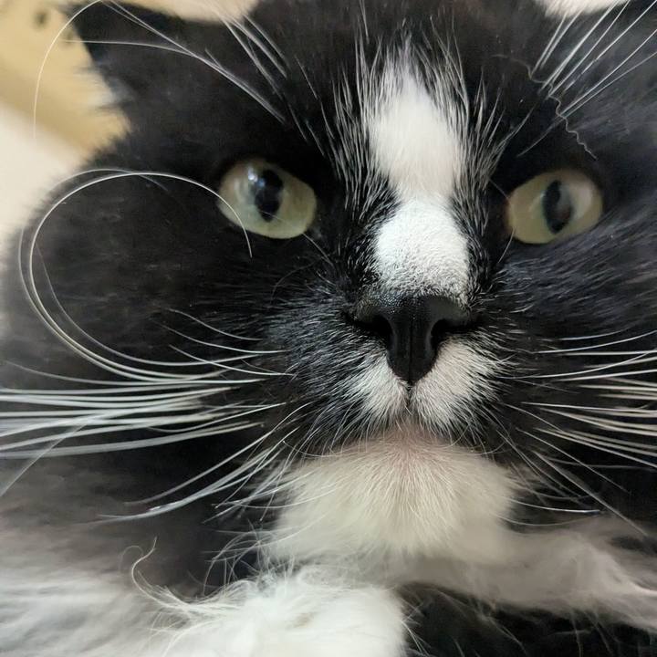 4ff50a95 eae2 4980 bb15 58843fd70120 1739105904087