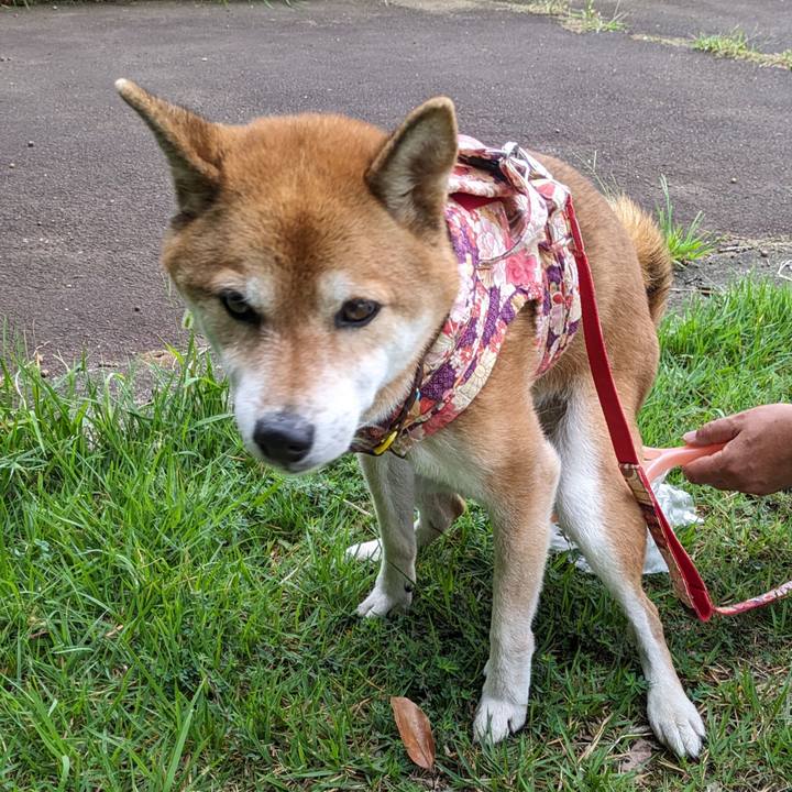 4ff52b81 27c6 4951 b01f 40a180932391 1696121448851