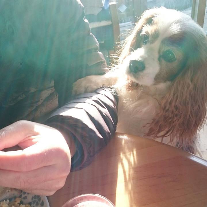 4ff5332f 9e8c 4541 9446 d201b30e5480 1520119296810