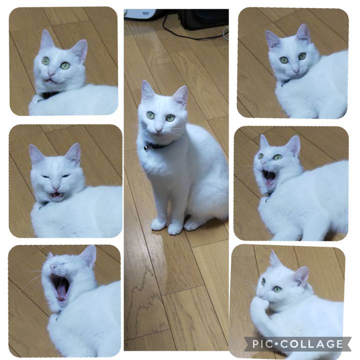 4ff5583b d714 4459 8cd0 b41f1216ef66 1658370660965