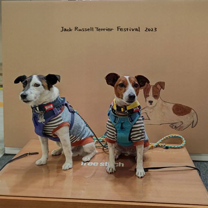 4ff58329 2fd2 4fac 81af e6d77aac6513 1680348847502