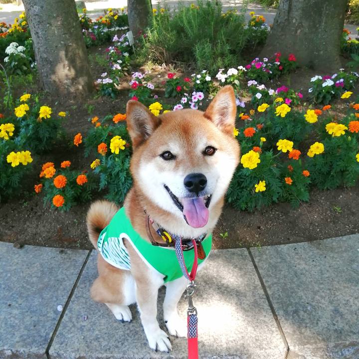 4ff5fe1b 9a94 4a71 ba97 8bbf68f63d06 1656115300999