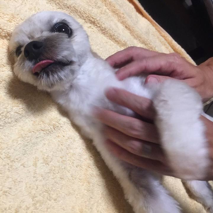 4ff64ae4 7c58 41bf ae8f 8df077670218 1538087909320