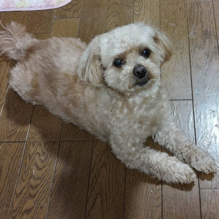 4ff67fce 4ffa 40f8 b2b6 cf9ae103cf2f 1687960445487