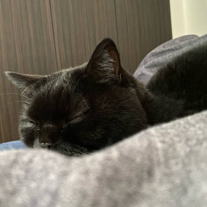 4ff69650 2b99 42a7 8b62 7a6c5c4924d0 1763474552271