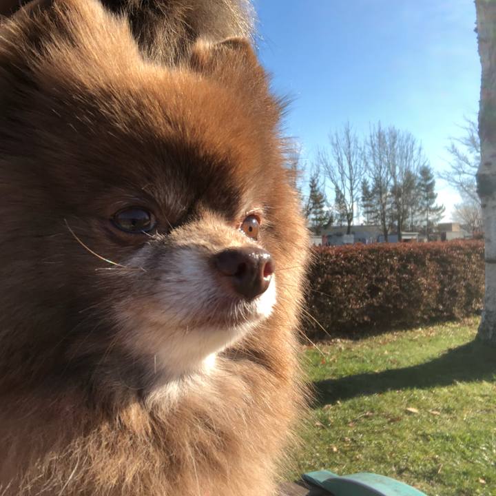 4ff69b89 1de5 4ca7 9988 604e50807465 1543715015115