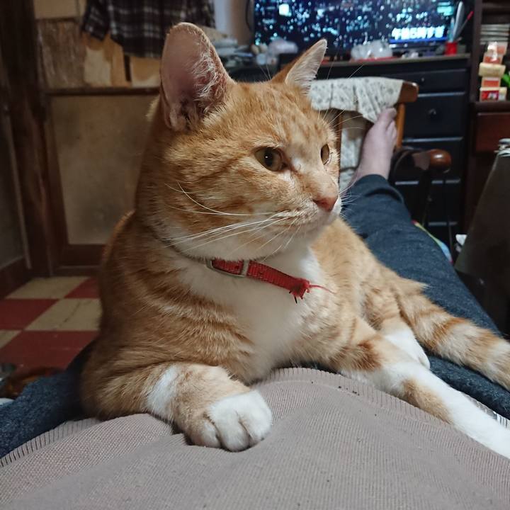 4ff6b6e8 4bae 4f42 b1e7 f80f40476d30 1575110727184