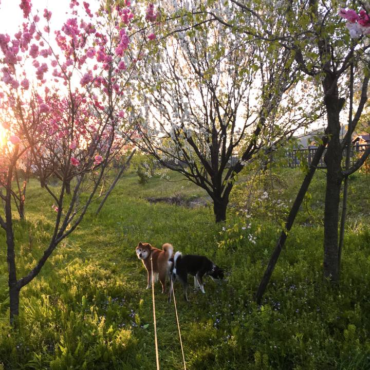 4ff6b711 9ddf 4ed6 80b0 3ba56a43aba6 1618144259089